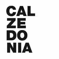 it.calzedonia.com