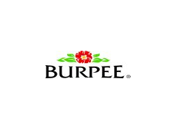 burpee.com